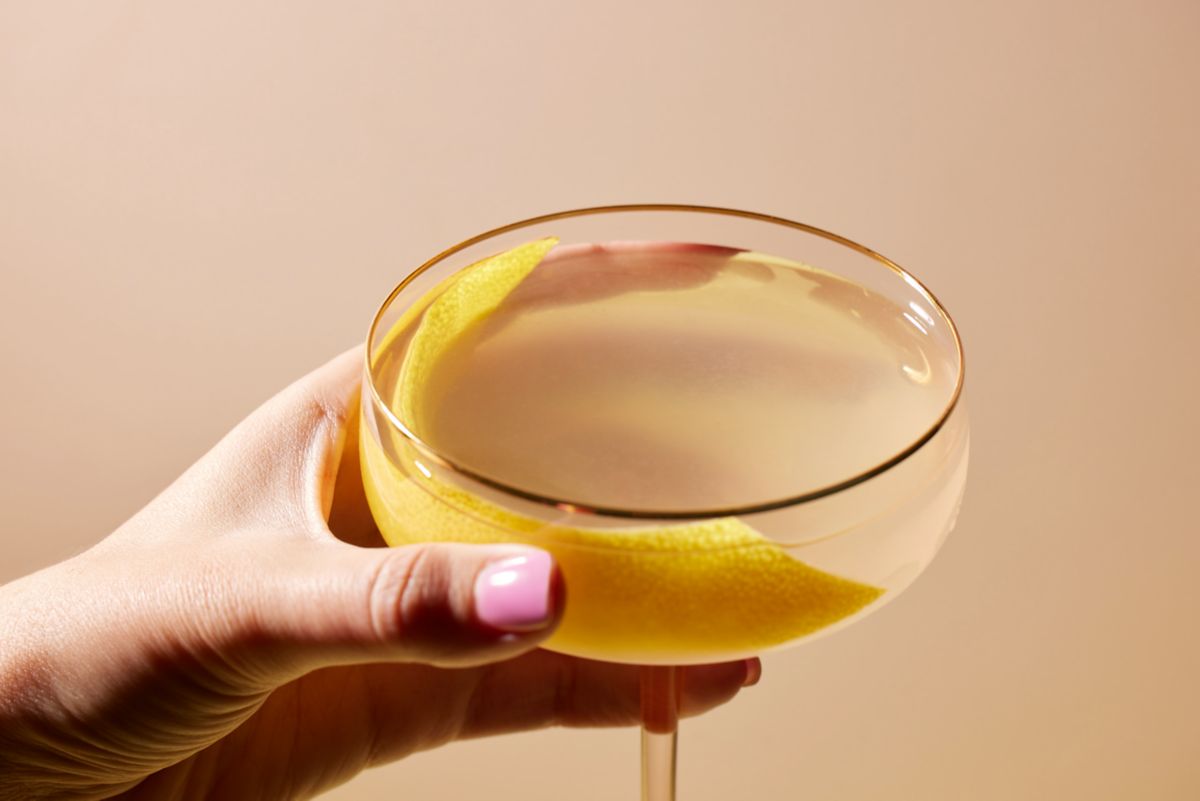 Easy to Make Gin Sour Cocktail Recipe How to Make a Gin Sour Cocktail